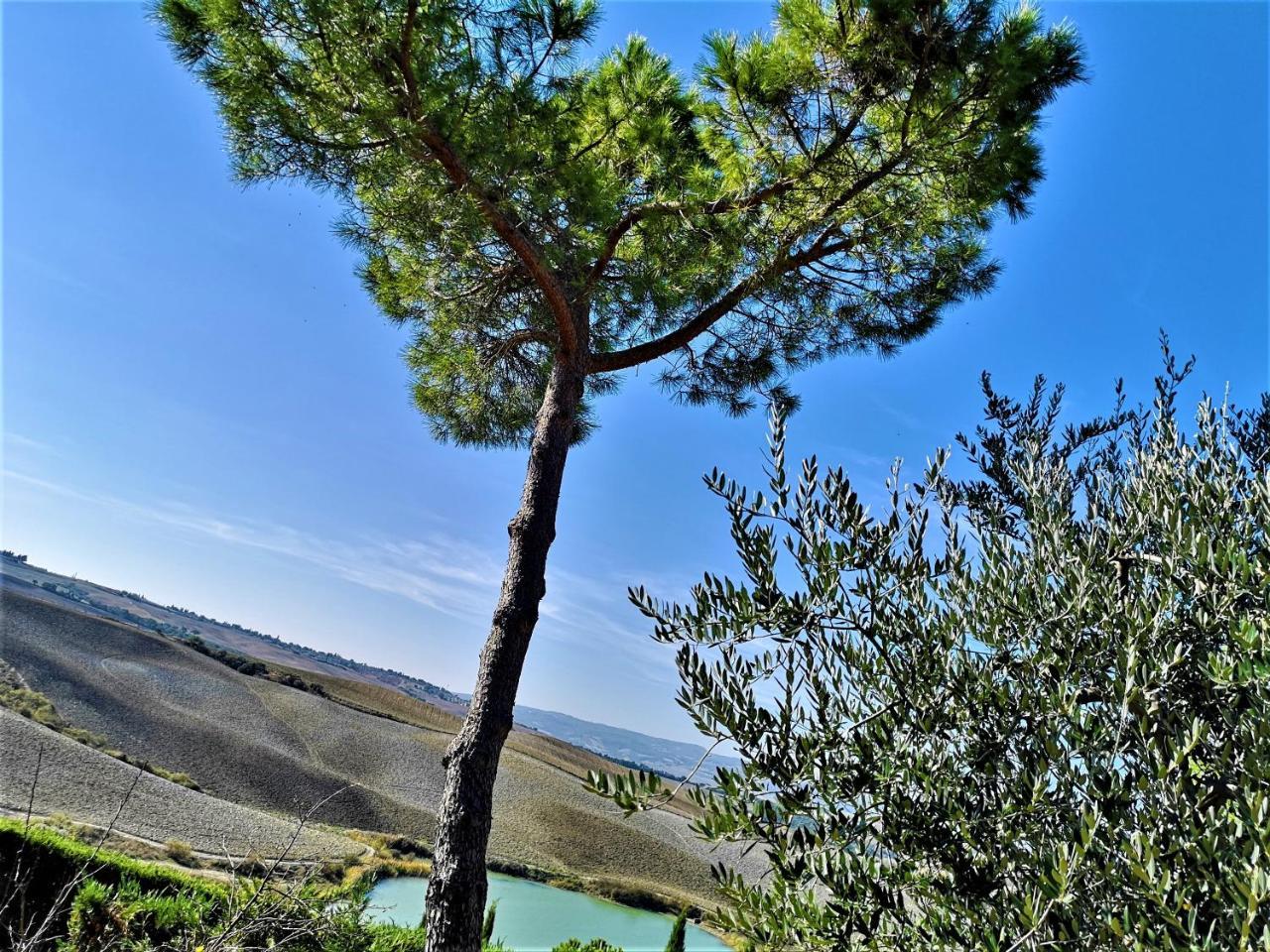 Agriturismo Palazzo Conti - B Villa Pienza Exterior photo